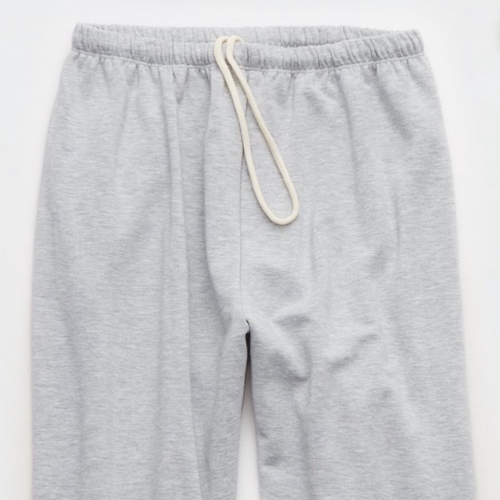 Gray Aerie Joggers